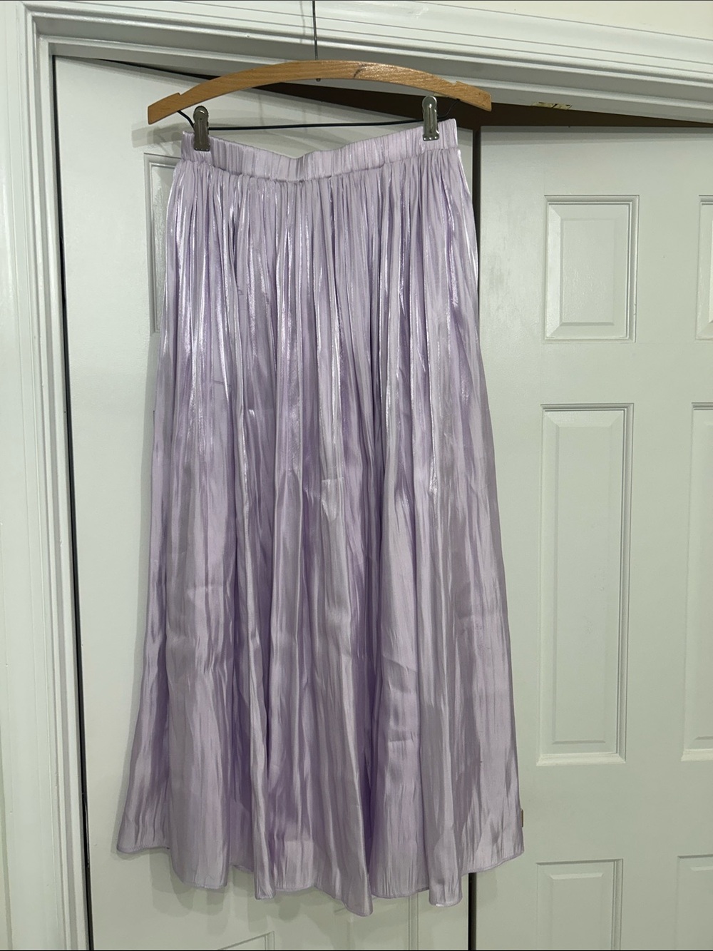 Pomander Place Shimmery Lavender Pleated Maxi Skirt - Small